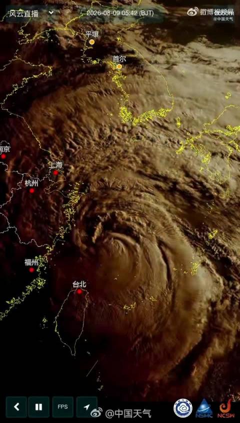 白海豚10级风圈触及浙江