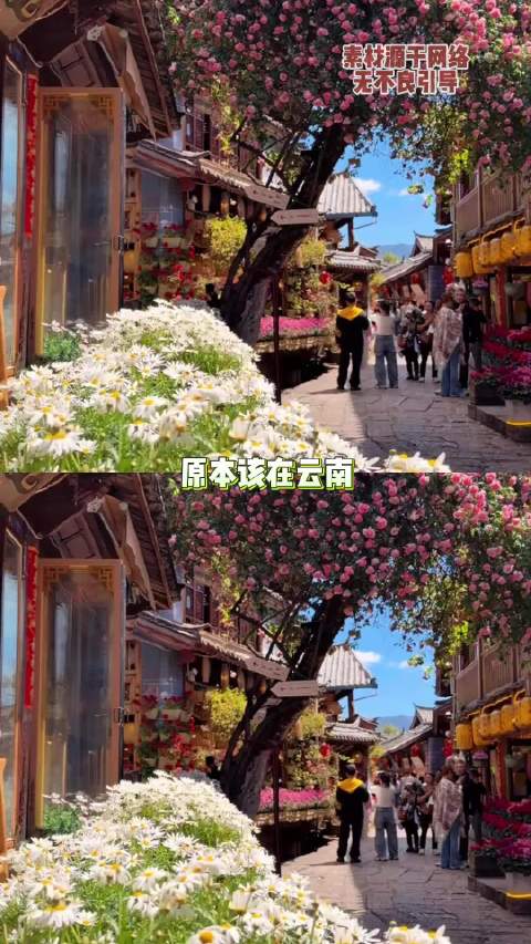 党鑫蕊一路走好，向你致敬 党鑫蕊｜灾区｜致敬｜广西｜英雄