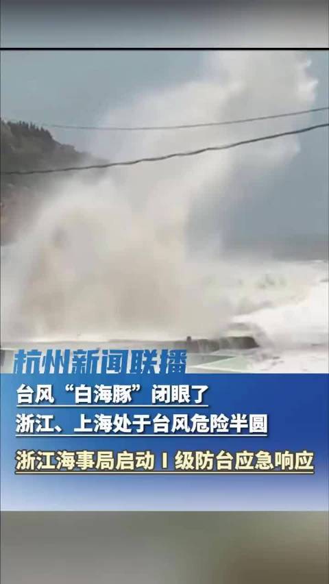 白海豚闭眼仍强台风，9日夜登陆浙闽沿海