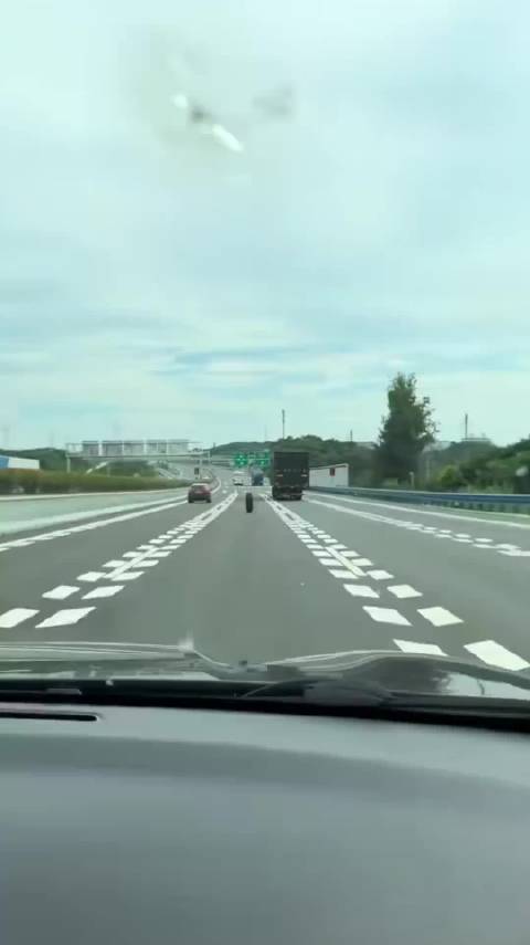 视频车看戏变局中，一脚油门本可避
