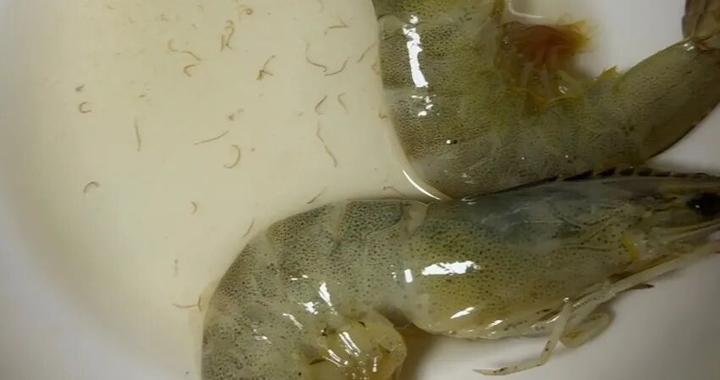 洗虾洗出密密麻麻线状虫子，网友：这是寄生虫还是虾崽？医生提醒