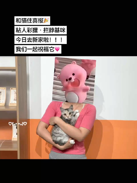 拦脖基咪不再越狱变粘人，美貌性格俘获新妈妈