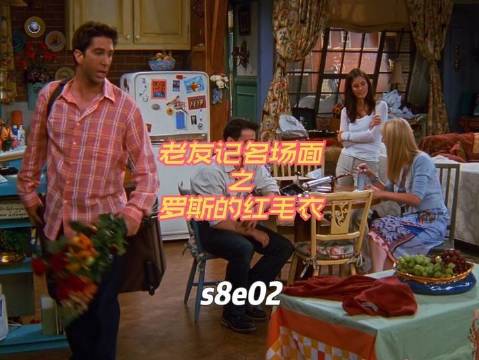 瑞秋孩子爸爸的红毛衣，或者说，罗斯的红毛衣