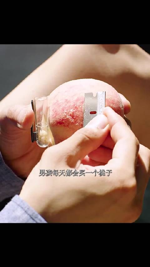 每天买桃子却从来不吃， 原来这一家人正在策划一场完美陷害！