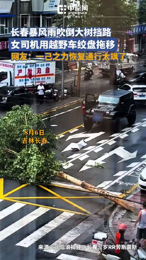 吉林长春暴风雨树倒阻路，女司机绞盘拖移恢复通行