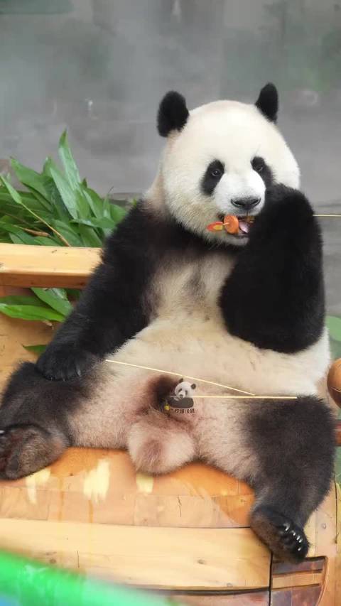 莽小五坐在豪车上撸串串，吃的津津有味儿，卡姿兰大眼睛炯炯有神