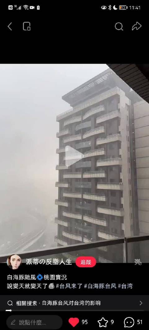 还好大东昨晚回去了 台湾天气真的很糟糕 两个人老老实实呆在家 不要虾虾跑