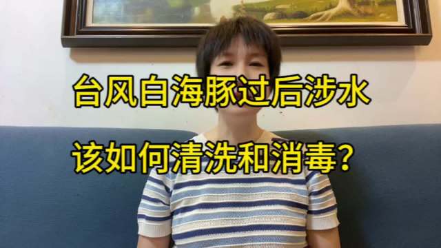 台风白海豚过境，涉水后需清洗消毒