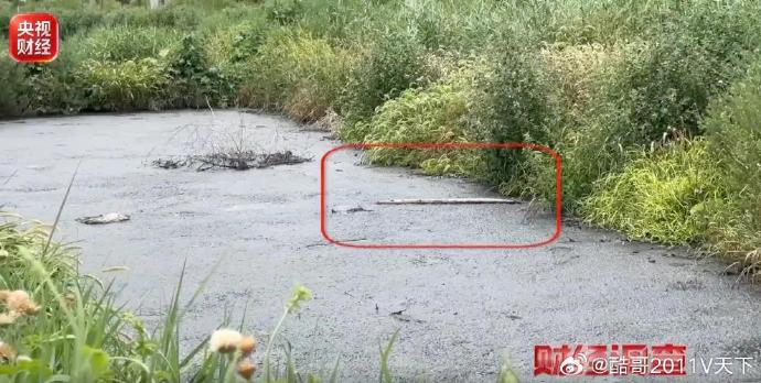 被污染的农田和河道何时能完成生态修复？