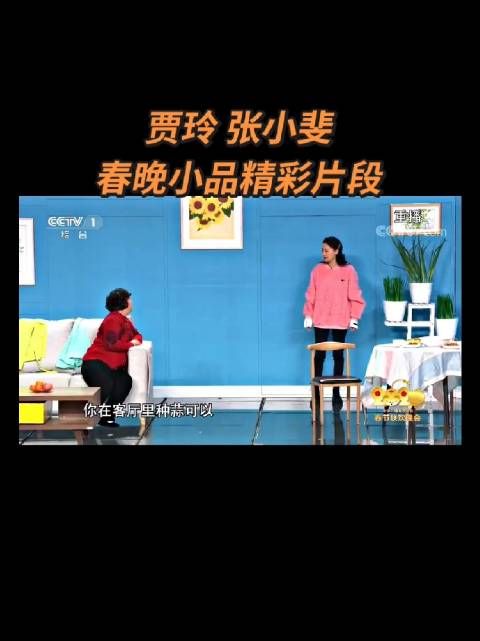 贾玲张小斐春晚小品带给大家欢乐犀利讲解天下事