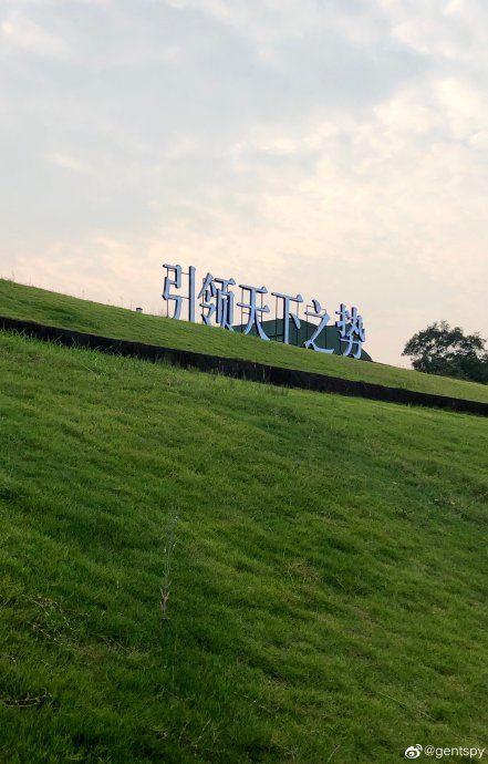 奔驰S级S350L2026款的动力表现如何？
