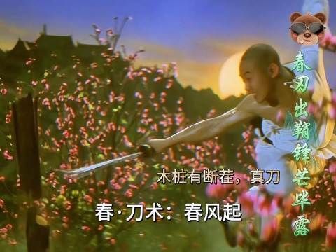 十七岁李连杰五冠加身，四季演武立真功夫标杆