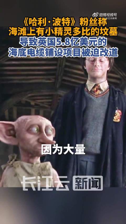 哈利波特粉丝守护多比坟墓