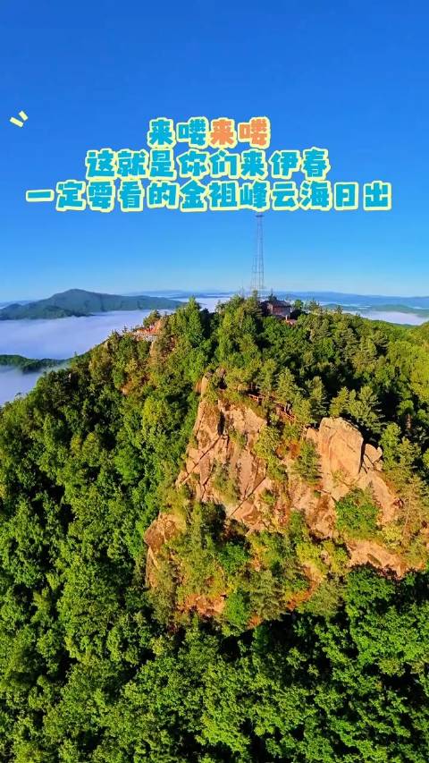 盛夏伊春金祖峰，云海林海绘仙境