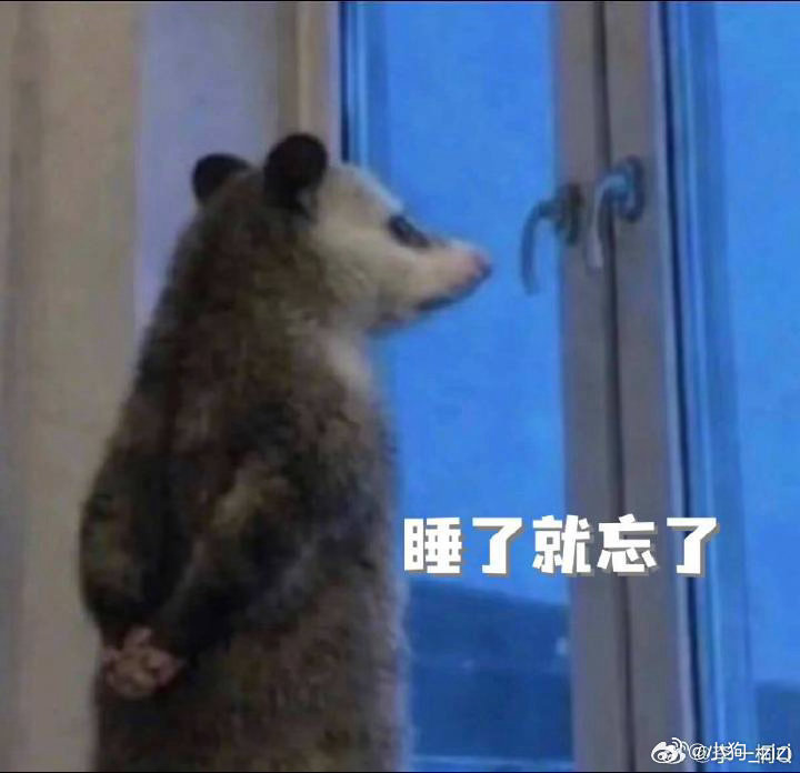 总感觉负鼠这个表情包在哪见过 原来是姐评论区 （网速挺快啊姐两个）