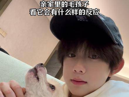它它它它它它……亲我了 张函瑞杨博文 杨涵博 智恩涵 世界动物日