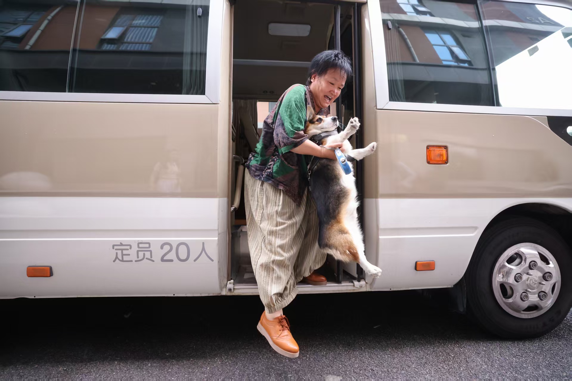居民帶著自家寵物犬集體乘車前往安置酒店。新京報記者 李木易 攝