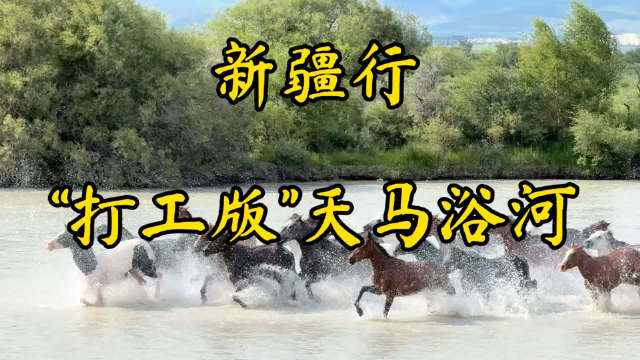 新疆昭苏湿地公园天马浴河上演打工版奔腾