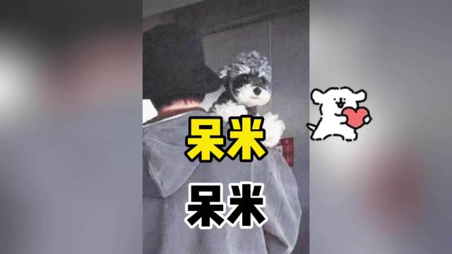 宁哥说呆米呆米过来过来的时候，真有动画片的意境了，天下第一好