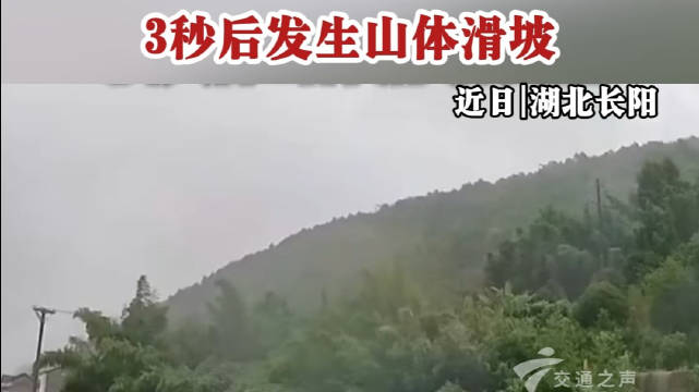 司机觉察路边竹林晃动，紧急停车，3秒后发生山体滑坡，救下一车人