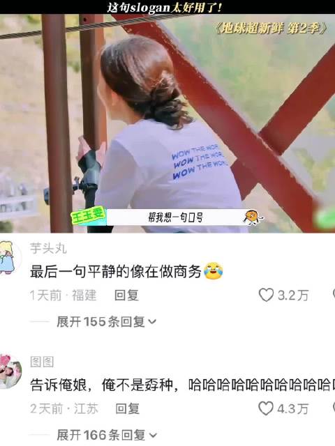王玉雯最后一句平静的像在做商务