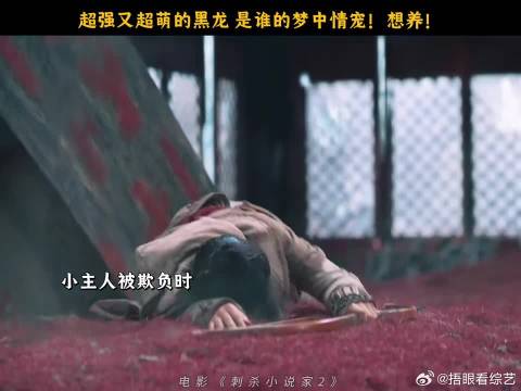 不掉毛又能提供情绪价值的宠物，是谁想狠狠领走了？！