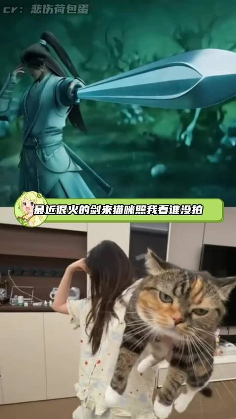 速来get剑来这个拍小猫的姿势 轻轻松松把小猫咪拍成大卡车
