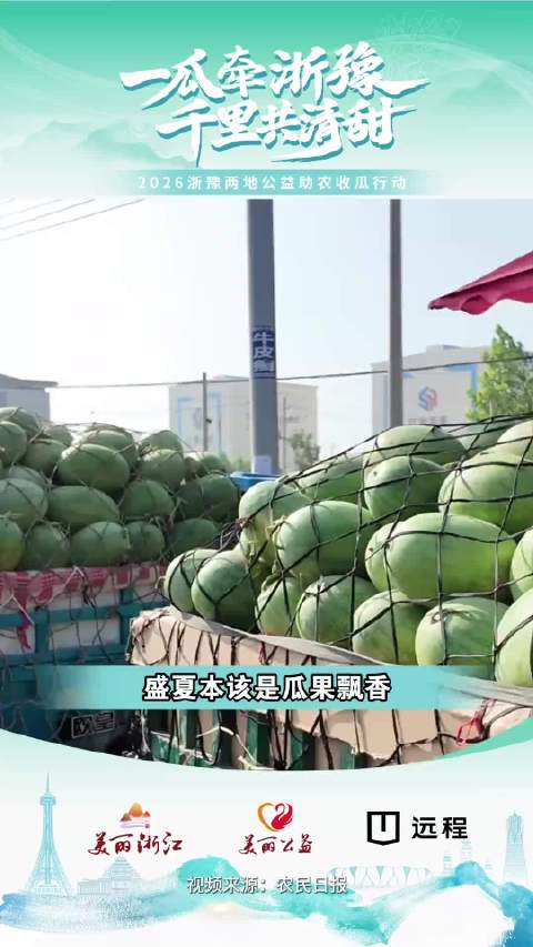 浙企千里奔赴助力河南瓜农 | 河南最后一批瓜被浙江人包圆了