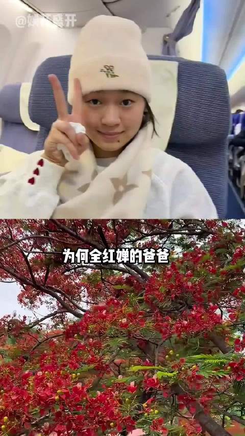 全红婵父亲新家种凤凰树，寄予父爱厚望