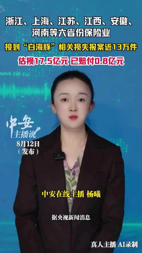 台风白海豚过境华东，保险报案暴增理赔忙