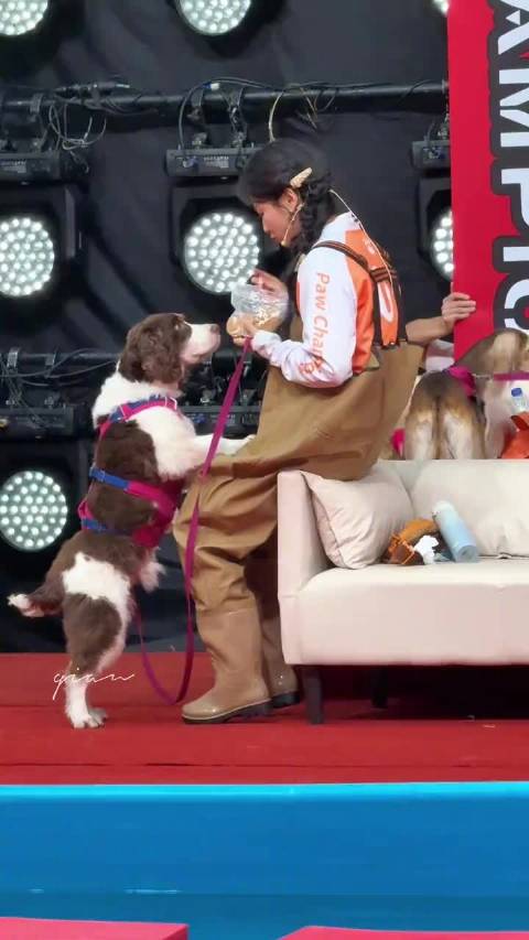 刘涛腰比查理细，柔声训犬令人想听话