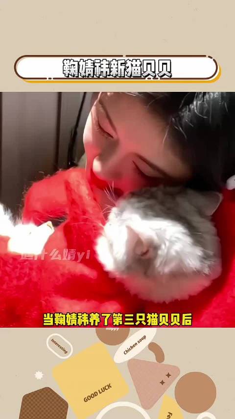 贝贝会是第三辆卡车吗