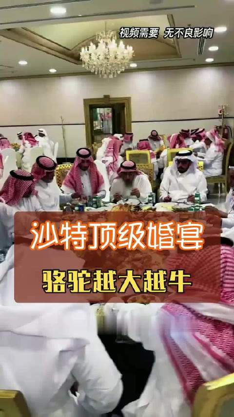 沙特顶级婚宴为啥骆驼越大越没人先动