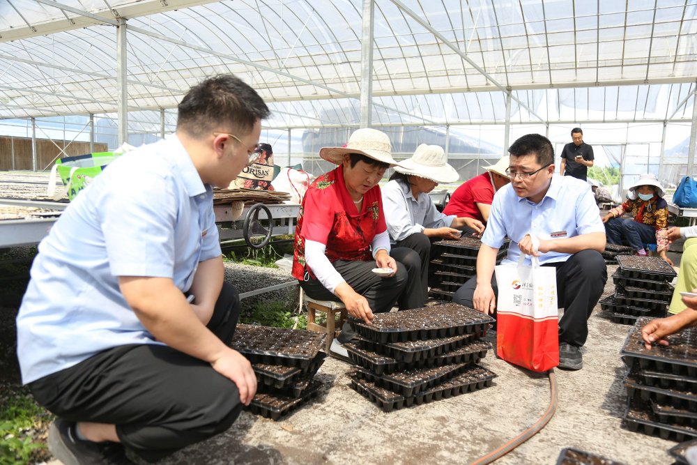 沭阳农商银行“千企万户大走访”反哺实体
