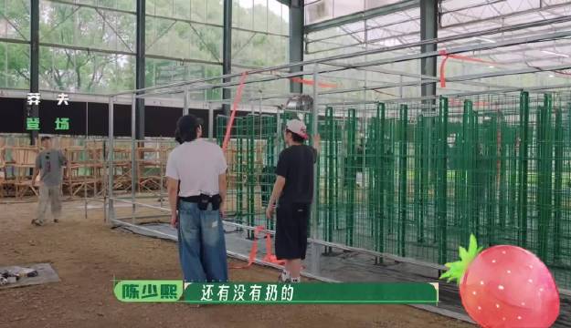 少熙与三哥打赌扔王，赌注磕头鞠躬