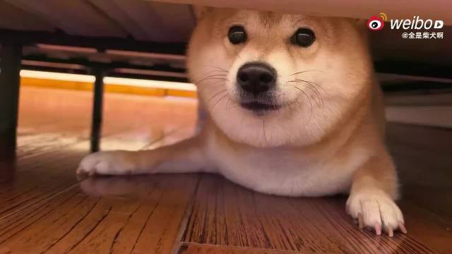 宋祖儿留学时期照片，人际圈子很大啊