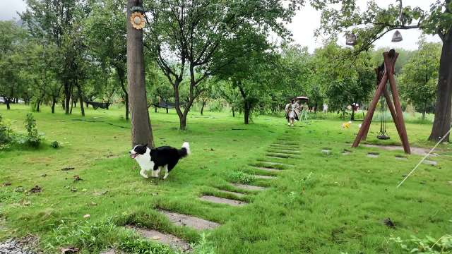 下雨天的美好时光 听雨煮茶 雨雾落长安