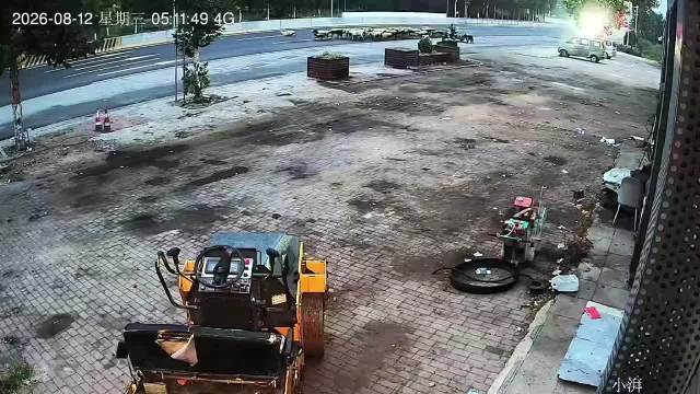 羊群横穿过马路，货车司机刹不住，这下损失可大了
