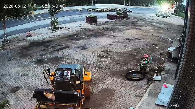 马路逆行放羊群被大货车撞倒好几只