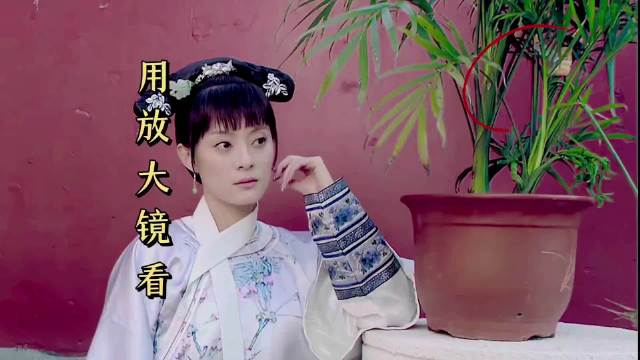 当我用放大镜看甄嬛传抓穿帮
