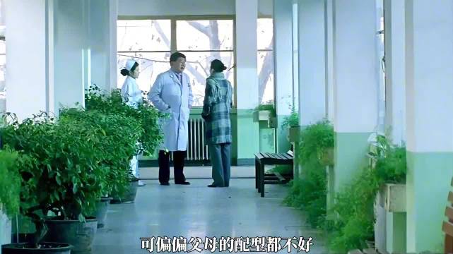 女子为救白血病女儿，向前夫提议再生子用脐带血