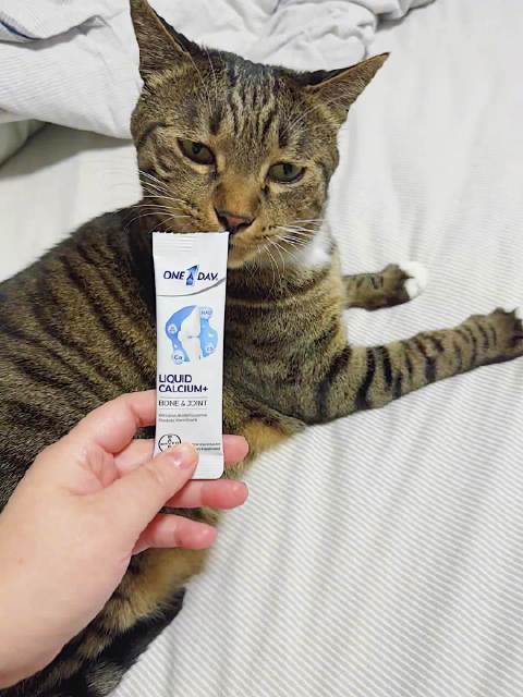 液体钙包装像猫条，猫咪误认讨食逗乐主人
