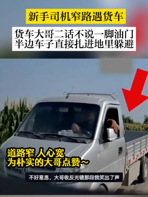 新手司机窄路会车大哥开沟里让路