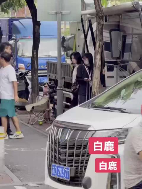 芭莎总监酷暑送饮品犒劳《开到荼蘼》全组