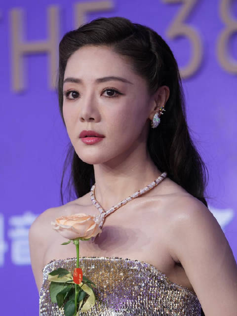 邓家佳百花奖红毯银色抹胸长裙气场十足