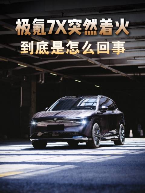 极氪7X充电站起火，非电池起火车主检查