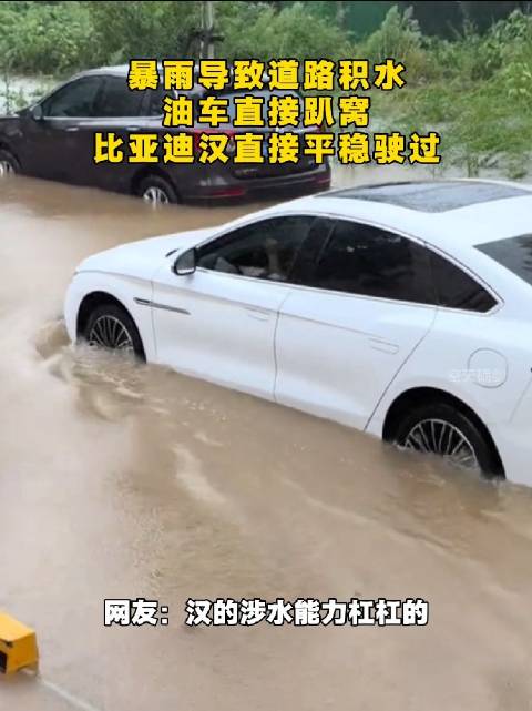 暴雨积水油车趴窝，比亚迪汉平稳驶过获赞