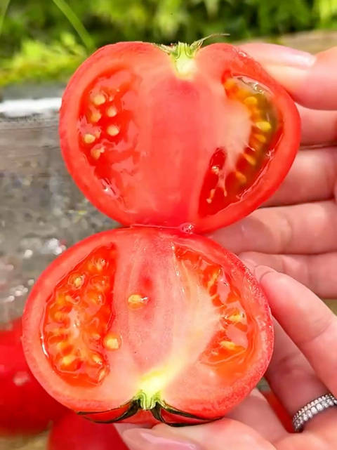 深夜食堂