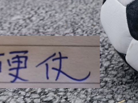 申花新帅上任马上来四场硬仗