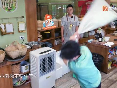林大厨和小凯的互动我能看一百遍